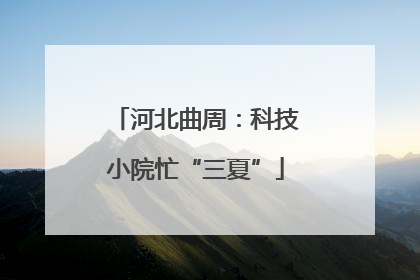 河北曲周：科技小院忙“三夏”